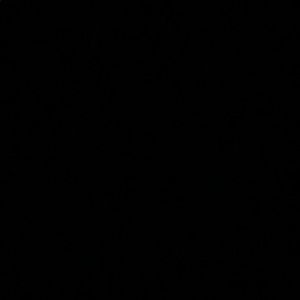 Meet your Posher, Lindsay